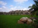 les rizieres d Hampi
