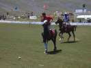 Match polo festival Shandur