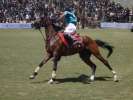 Match polo festival Shandur