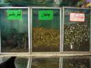 Medecine Uyghur utilisant grenouilles, scorpions et tetes d oiseaux