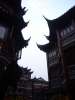 Ballade dans les rues de Shanghai