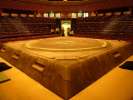 le Dohyo, le ring a une forme circulaire avec un diam&egrave;tre de 455cm