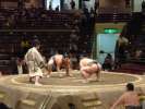 Arbitre, le Gyoji opposer les 2 lutteurs sumo sur le ring en dirigeant un l &eacute;ventail