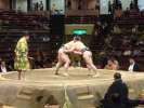 Arbitre, le Gyoji opposer les 2 lutteurs sumo sur le ring en dirigeant un l &eacute;ventail