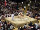 Combat de sumo, comp&eacute;tition de sumo a Tokyo