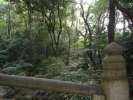 l entree du Meiji Jingū sanctuaire shinto&iuml;ste, au milieu du Parc Yoyogi
