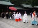 Ceremonie de mariage au Meiji Jingū , au Parc Yoyogi