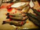 Petit poissons . . . . 