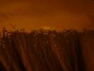 Ombre chinoise dans la tente, Nagano