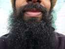 La barbe . . . aussi a gele