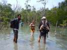 A la frontiere des Kiwana, les reducteurs de tetes, passage de la mangrove menant a Elephant  Beach...maree haute!