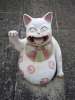 Quelques chats de Tokoname