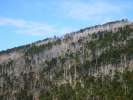 Sur le chemin pour le mont Hakkyogatake