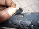 Super les pneu schwalbe