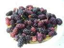 Mulberries