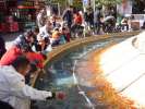 Peche miraculeuse . . . 