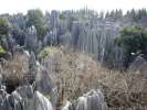 Stone Forest, Shilin