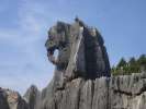 Elephant Stone Forest Shilin