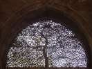 Jama masjid d Ahmedabad