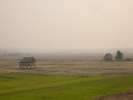 Rizieres 