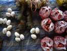Sur les stands du marcher on trouve de petie tomates sucre, du resins , des OEUFS et des ecureuilles, Vieng Phoukha 