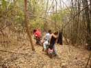 Sentier dand une foret de bambous
