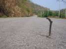 Serpent un peu raplapla mais toujours debout