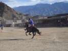 Polo , festival folklorique de Leh