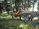 les porteurs du dieux de Vashisht