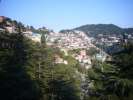 Shimla