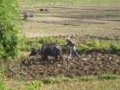Agriculteur 2