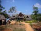 Sadhana Forest, Auroville
