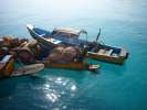 Bateau marchand