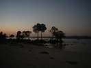 Mangrove, Havelock