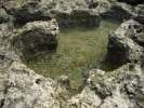 Cuvette d'eau