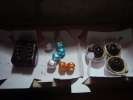 Celebration des visas, patisseries de chez Wengers Dehli 