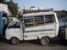 Bus Paki
