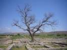 Un des site archeologique de Taxila