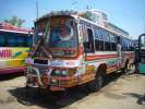 Bus Paki